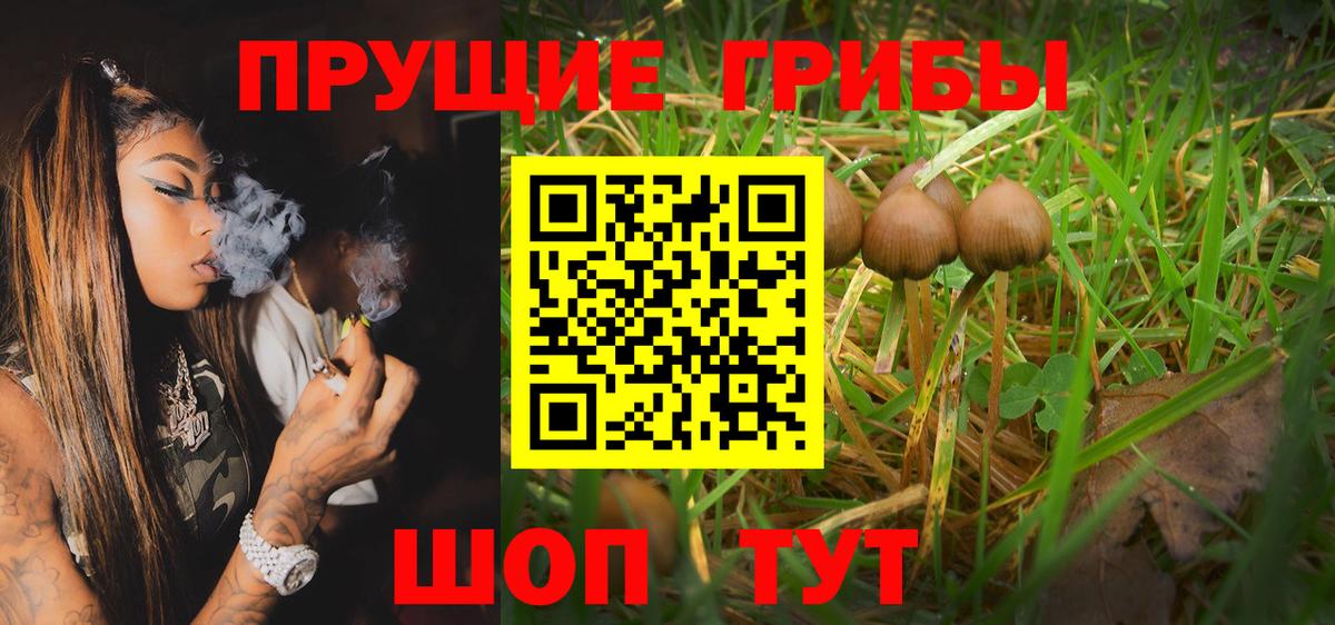 Ипатово  Галлюциногенные грибы GOLDEN TEACHER  Галлюциногенные грибы Cubensis  Вход с VPN 